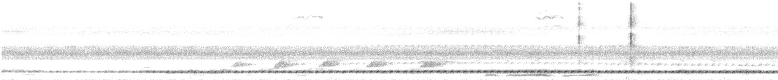 Chevêchette cuculoïde - ML615883609