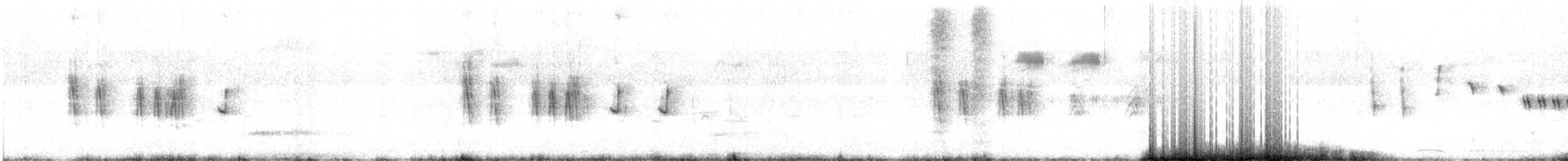 australlerke (javanica gr.) - ML615884689