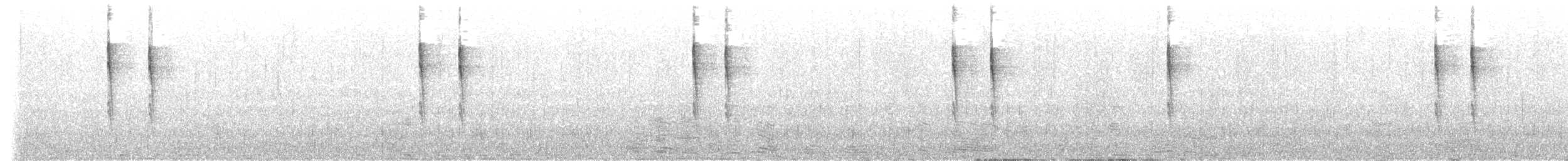 Pasifik Çıtkuşu - ML615890901