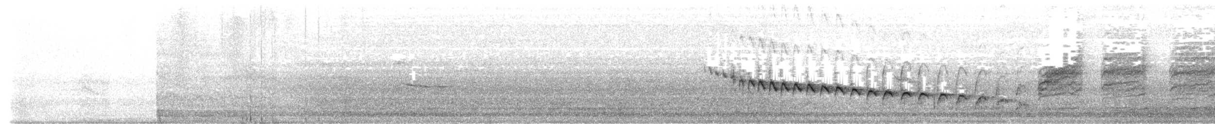 ムナジロミソサザイ - ML615892139