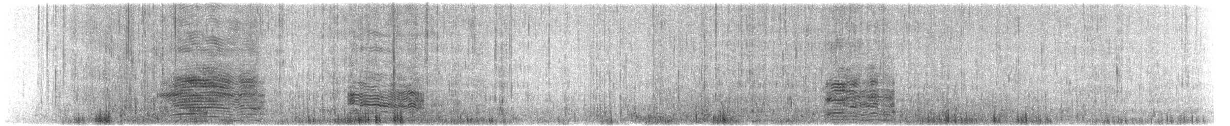 אלבטרוס לבן-כיפה - ML615893920