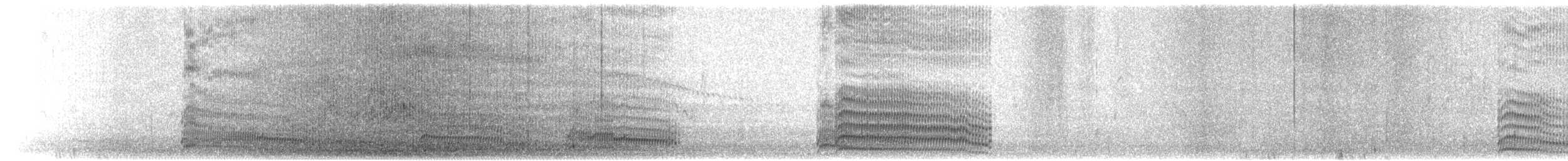 ギンカモメ（scopulinus） - ML615895173