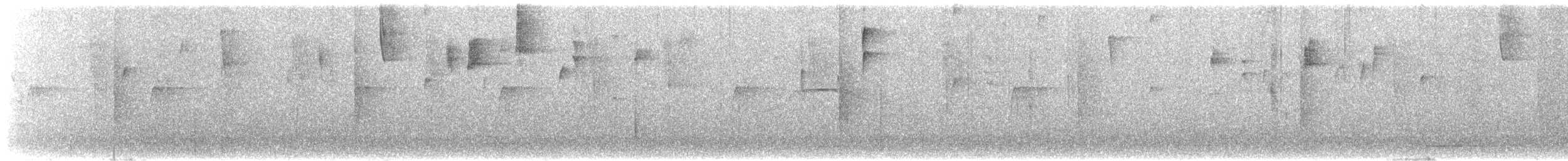 Weißstirn-Kleintyrann - ML615895201