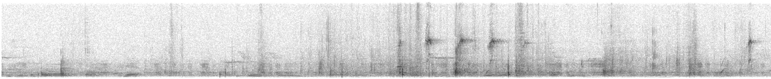 Schwarzschnabel-Hakentyrann - ML615896364