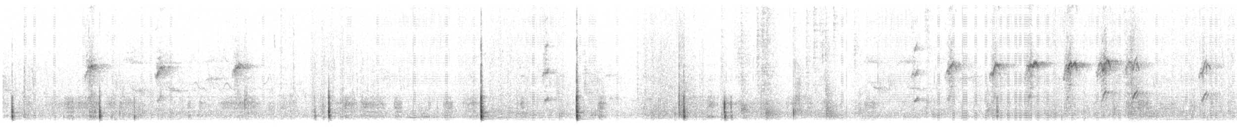 Schwarzschnabel-Hakentyrann - ML615896367