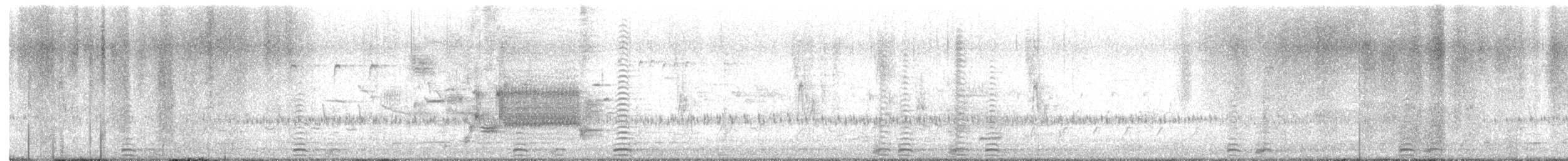 Cisne Trompetero - ML615896768