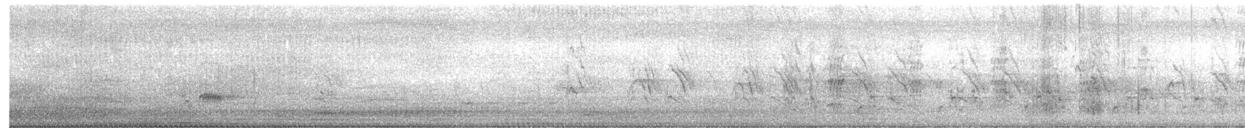 Glossy Ibis - ML615898262