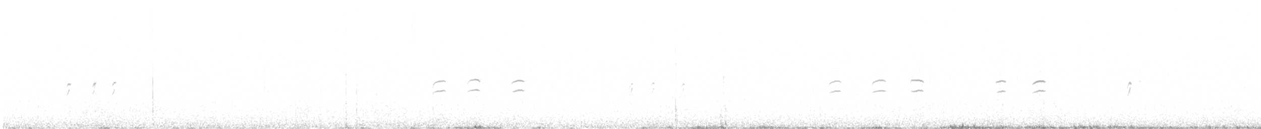 Piquituerto Aliblanco - ML615900108