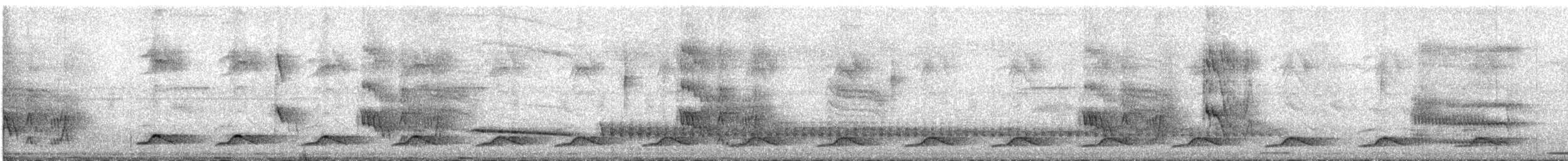 Касик жовтодзьобий (підвид holosericeus/flavirostris) - ML615901271