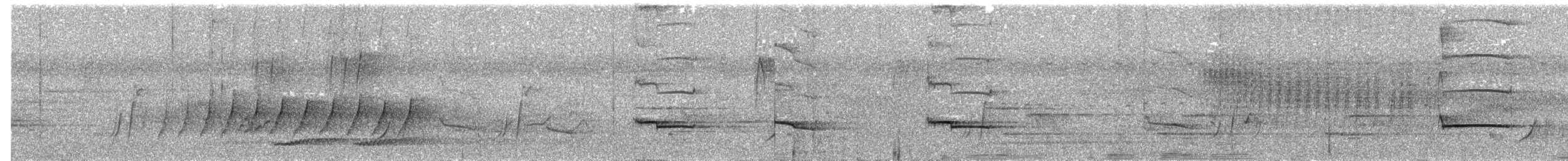 Silver-breasted Broadbill - ML615906492