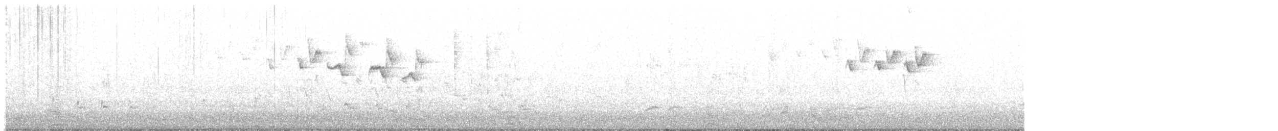 lesňáček černobílý - ML615908630