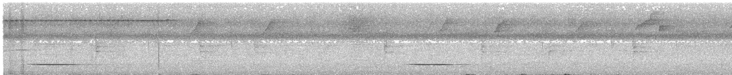 Серый скрытохвост - ML615909182
