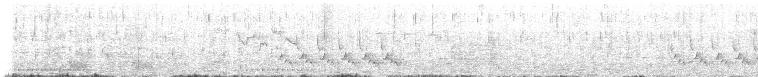 Amerikabaumläufer (americana/nigrescens) - ML615912669