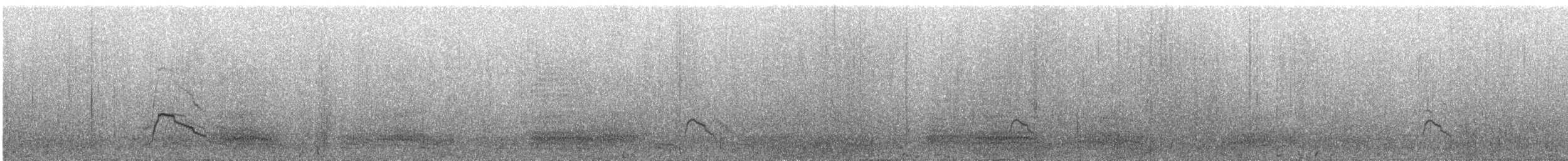 Canard siffleur - ML615912877