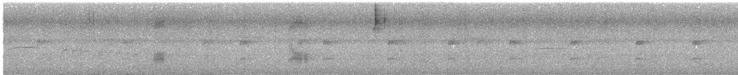 Black-tailed Tityra - ML615918367