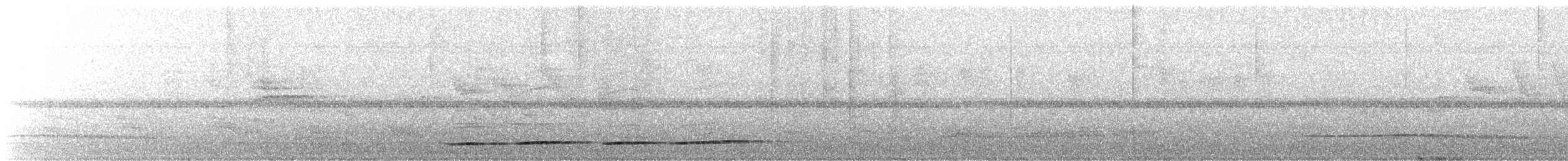 Undulated Tinamou - ML615919356