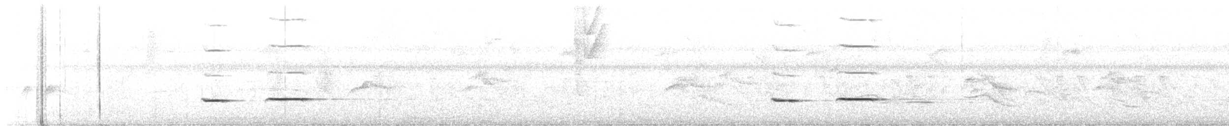 Striped Cuckoo - ML615921275