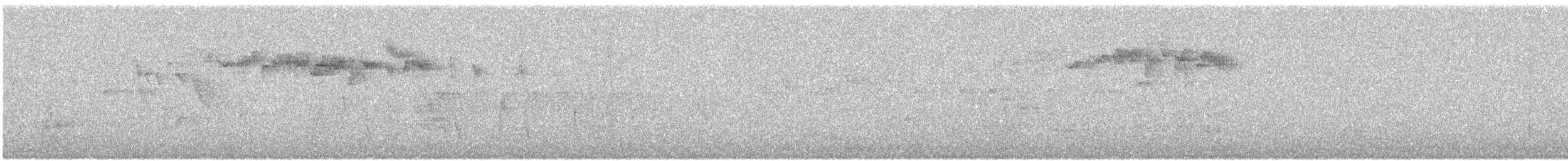 キクイタダキ（teneriffae） - ML615921768