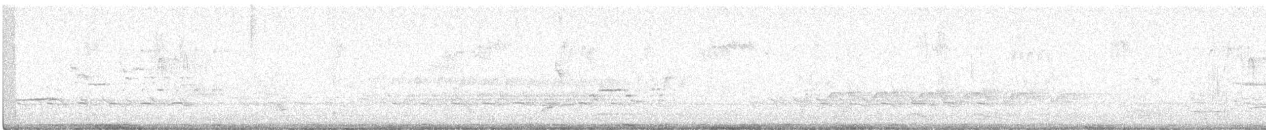 Дрізд-короткодзьоб плямистоволий - ML615924130