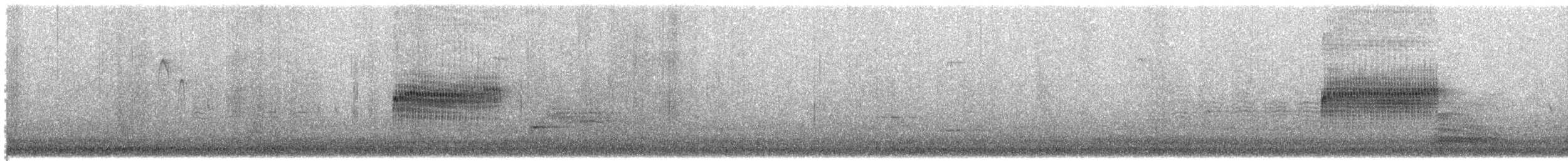 Тауї плямистий - ML615924977