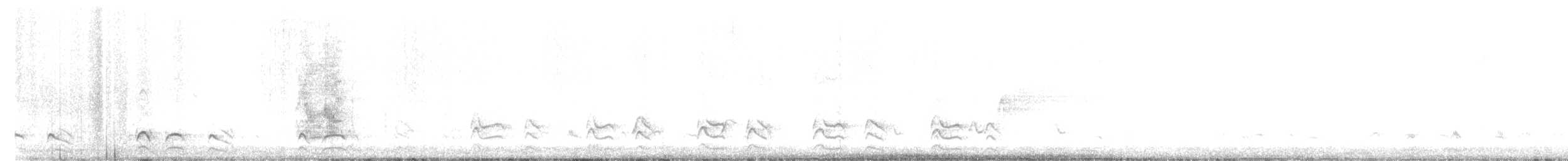 California Scrub-Jay - ML615929773