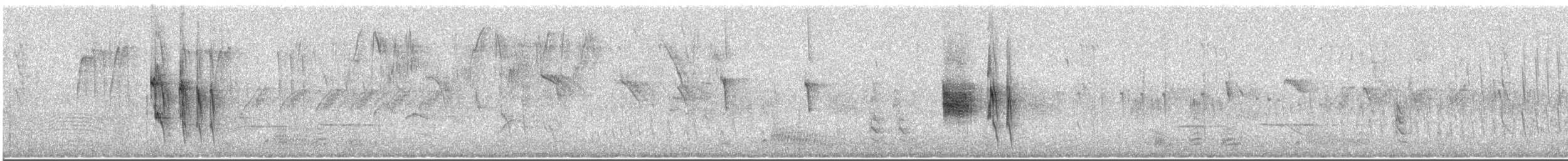 Tumbesian Tyrannulet - ML615932321