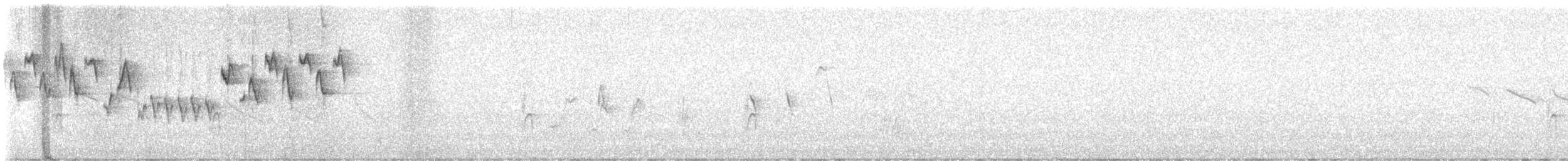 Тихоокеанский крапивник - ML615935452