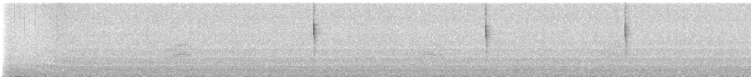 Troglodyte de Baird - ML615935453