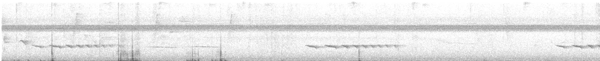 Kıvrık Gagalı Karıncaavcısı - ML615937314