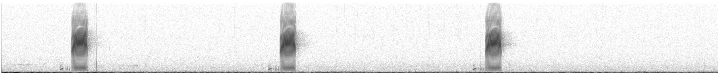 American Woodcock - ML615938989