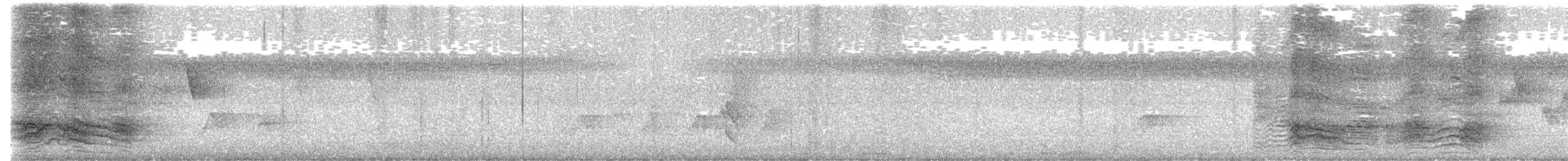 Spotted Catbird - ML615941523