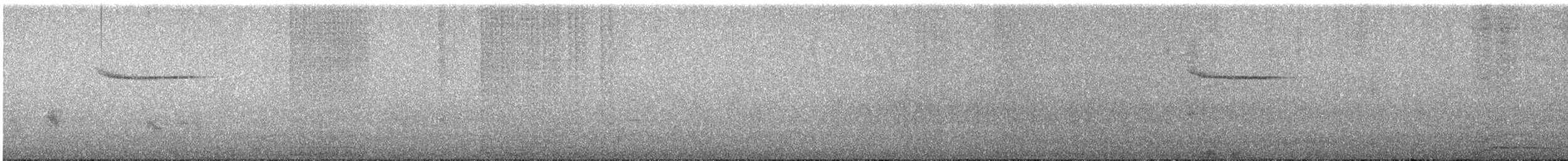 白斑紫嘯鶇 - ML615943087