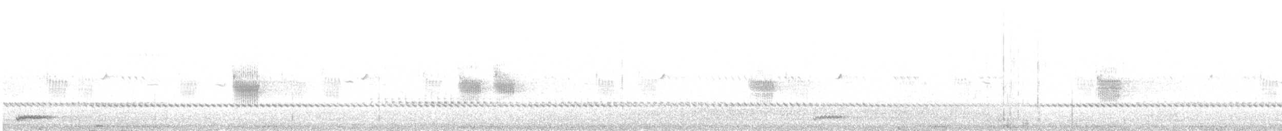 Arabian Scops-Owl - ML615944404