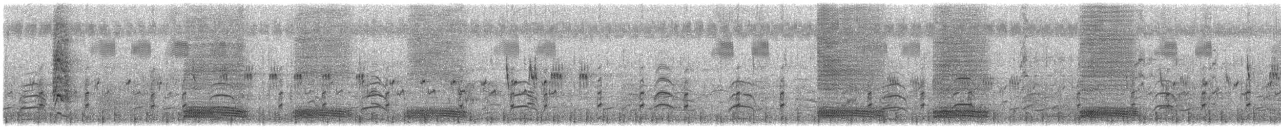 Elanio Común (grupo vociferus) - ML615945314