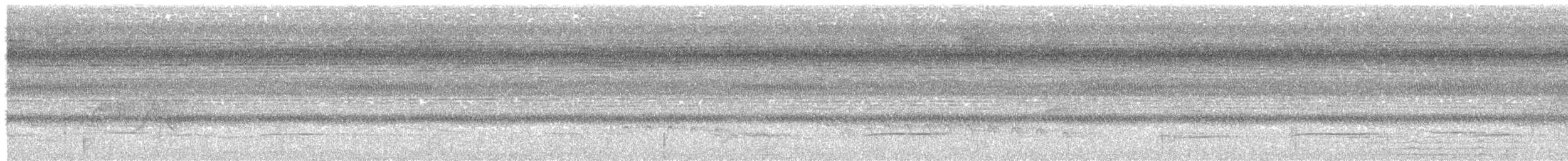 White-necked Thrush - ML615947410