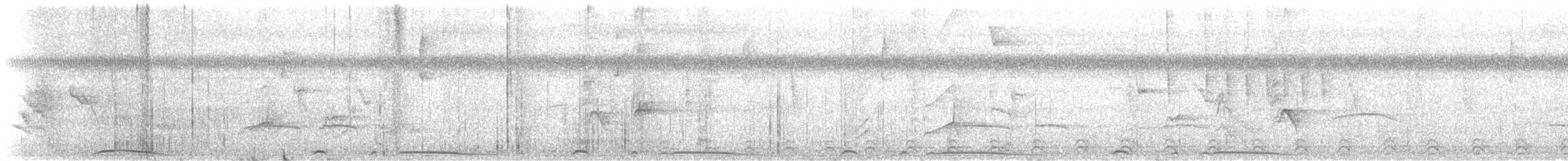 holub neotropický - ML615948400