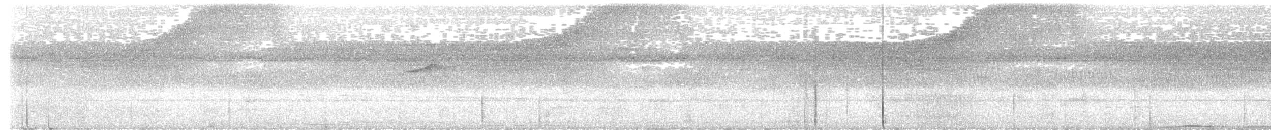 holub pásochvostý - ML615952651