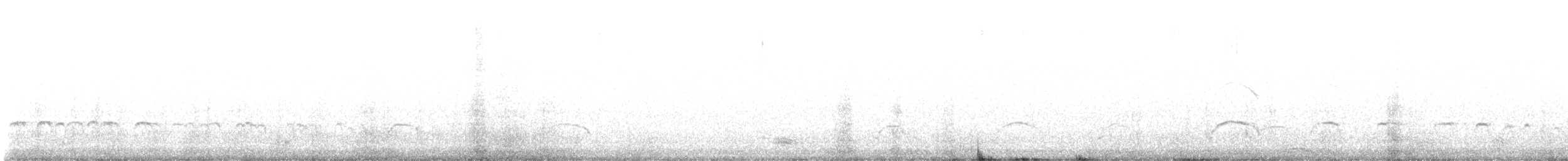Braunmantel-Austernfischer - ML615959656