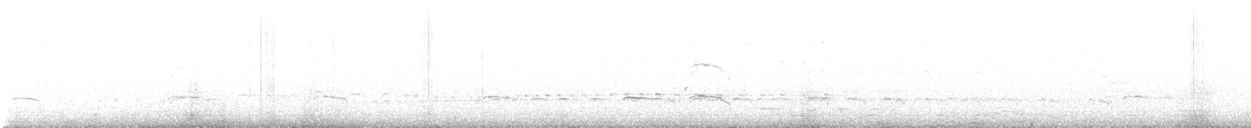Braunmantel-Austernfischer - ML615959657