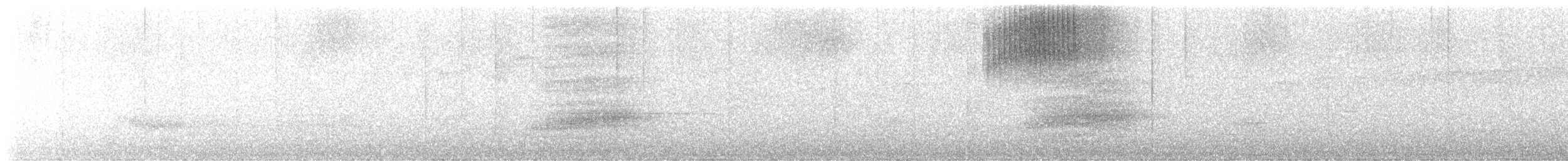 Гребенечуб андійський - ML615962724