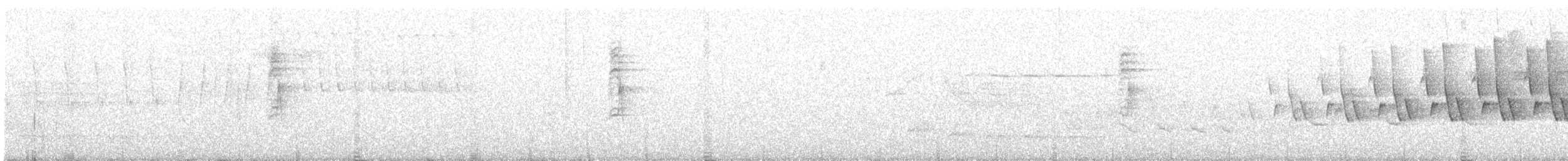 Дроздовый певун - ML615962861