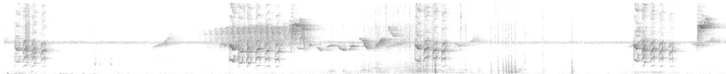 Weißbinden-Ameisenvogel - ML615964585