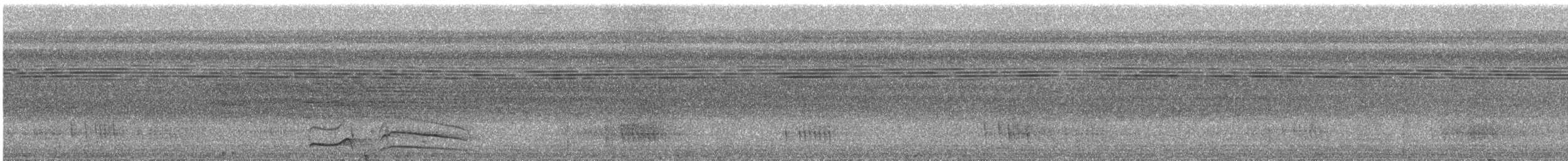 Pic ondé (groupe grammicus) - ML615965533