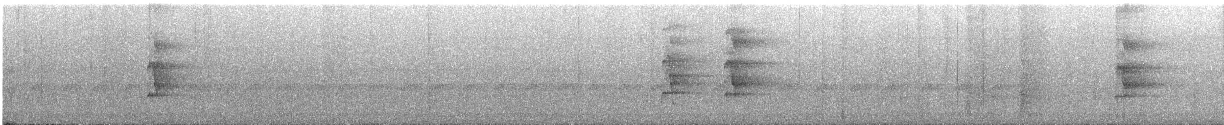 Bindenarassari - ML615966289