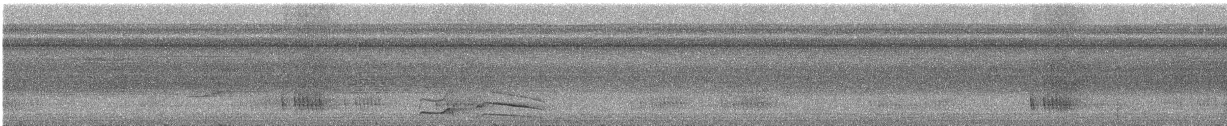 Pic ondé (groupe grammicus) - ML615966787
