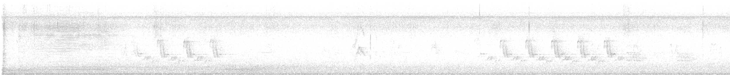 Каролинский крапивник [группа berlandieri] - ML615966960