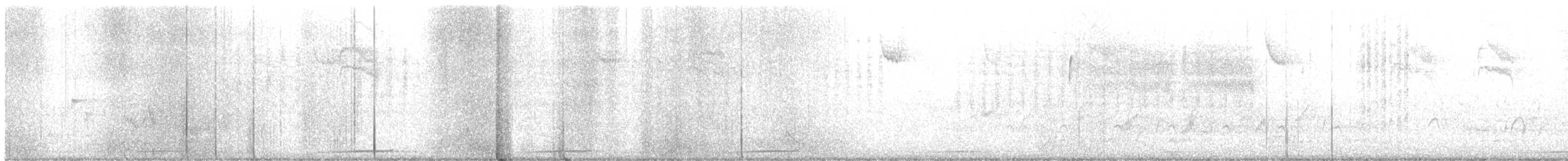 holoubek vrabčí - ML615970317