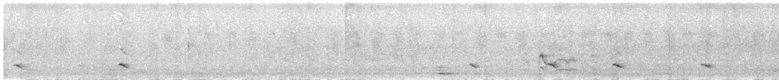 Weißschwanzaar - ML615972481