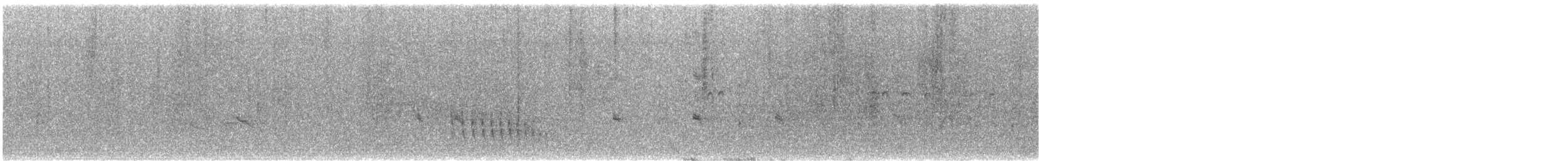 Graurücken-Dickichtschlüpfer - ML615975386