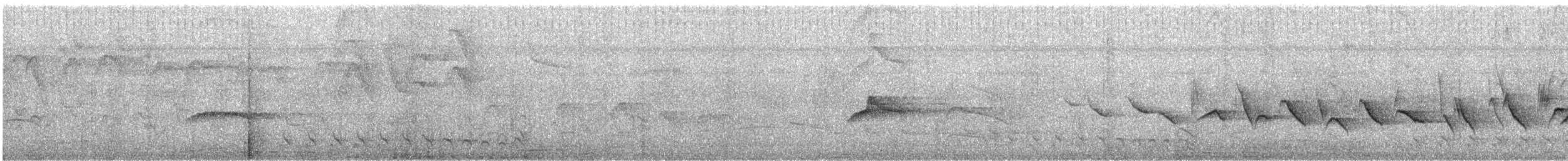 Kestane Karınlı Koca Tohumcul - ML615979503